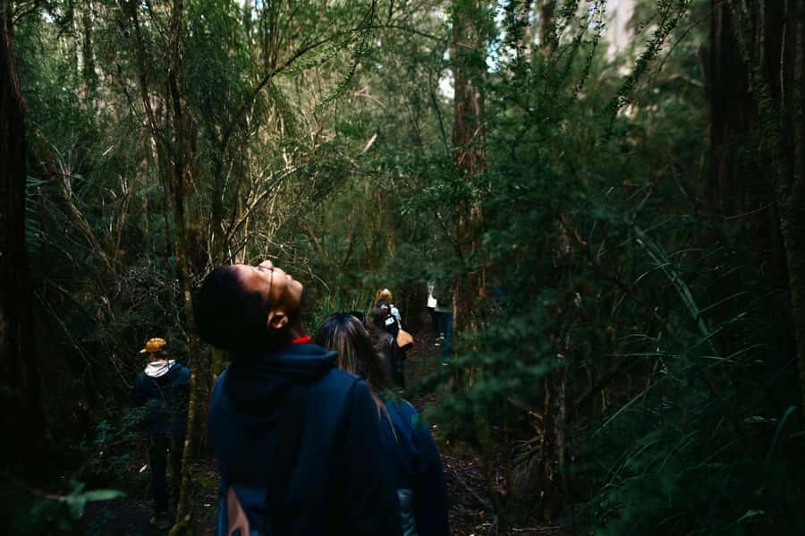 From Hobart: Full-Day Bruny Island Tour with Guide - Getting from Hobart: pickup, ferry, and why the schedule feels controlled