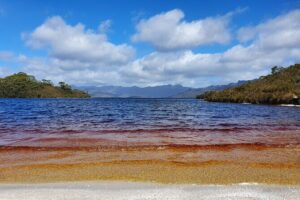 From Hobart: Gordon Dam and Lake Pedder Wilderness Day Tour - Lake Pedder lunch break and the color of the water