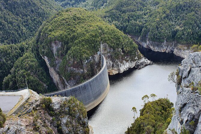 From Hobart: Gordon Dam and Lake Pedder Wilderness Day Tour - Creepy Crawly temperate rainforest walk (and what the path feels like)