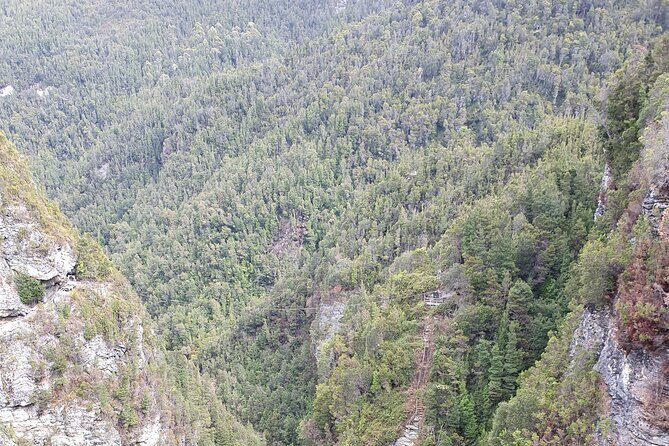 From Hobart: Gordon Dam and Lake Pedder Wilderness Day Tour - New Norfolk and Maydena: small towns, big contrast