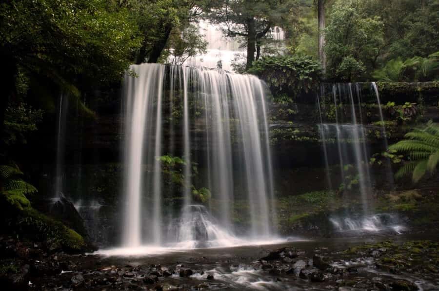 From Hobart: Mt. Field, Mt. Wellington and Wildlife Day Tour - Why This Hobart Day Tour Hits the Right Notes
