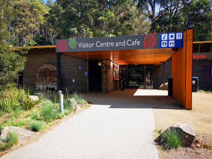 From Hobart: Mt. Field National Park and Russell Falls - Key highlights you’ll actually feel