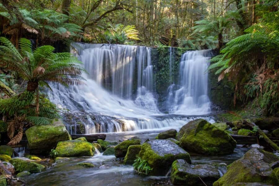From Hobart: Mt. Field National Park and Russell Falls - From Brooke Street Pier to the Derwent Valley scenery