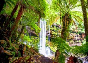 From Hobart: Mt. Field National Park and Russell Falls - New Norfolk stop: quick legs and a taste of rural Tasmania