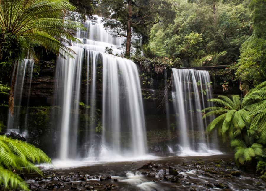 From Hobart: Mt. Field National Park and Russell Falls - Salmon Ponds and the trout feeding moment