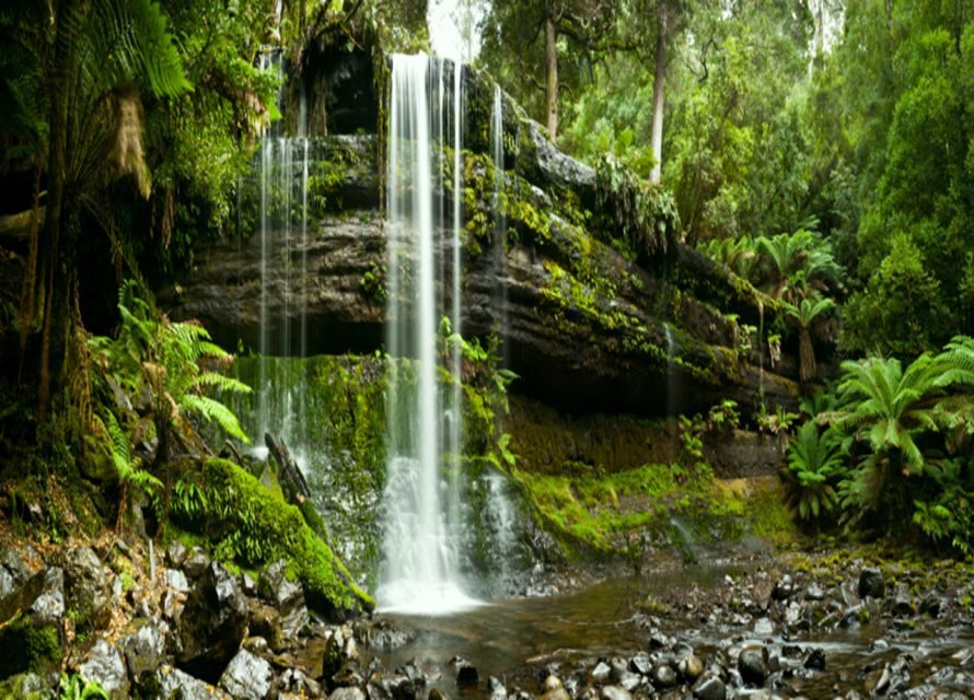 From Hobart: Mt. Field National Park and Russell Falls - Drive back to Hobart: use the time to decompress
