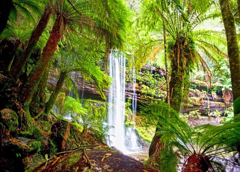 From Hobart: Mt. Field National Park and Russell Falls - New Norfolk stop: quick legs and a taste of rural Tasmania
