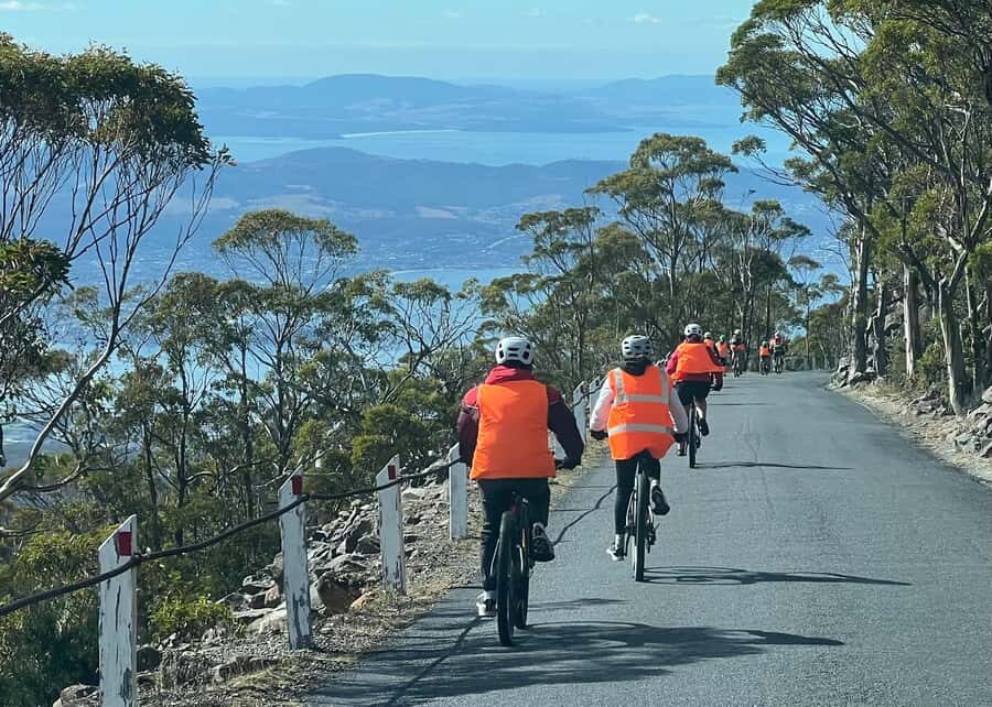 From Hobart: Mt Wellington Summit & Rainforest Bike Tour - The summit drive and photo-stop: get your view fix early