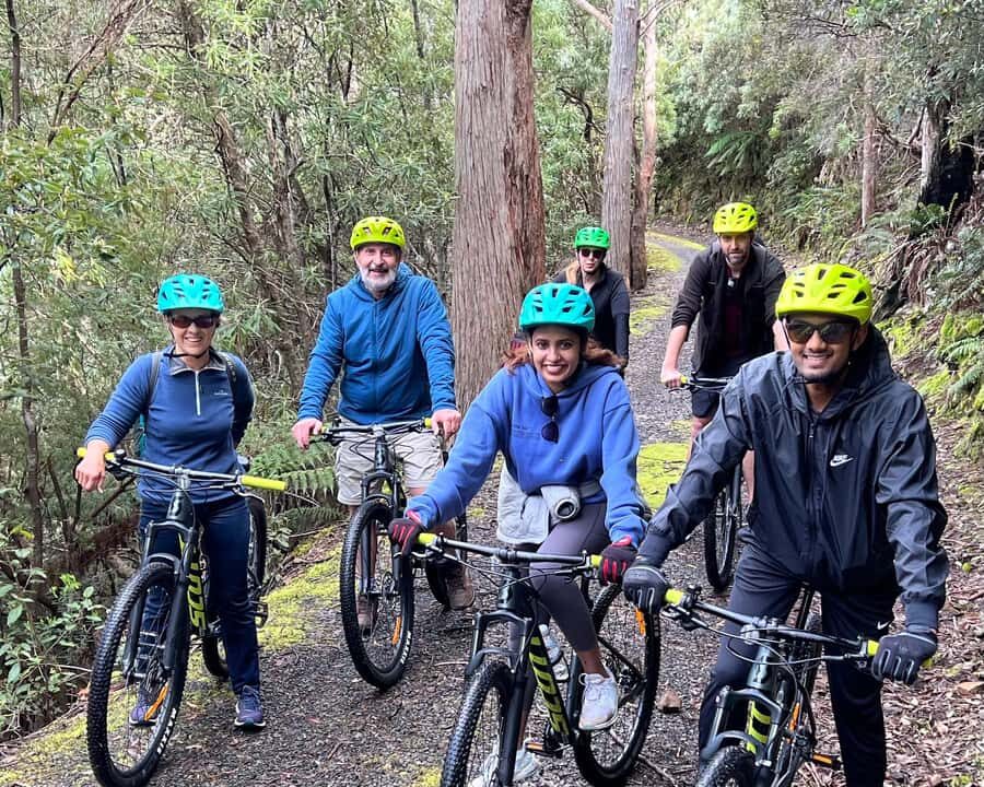 From Hobart: Mt Wellington Summit & Rainforest Bike Tour - Break time with coffee and local snacks: a short reset