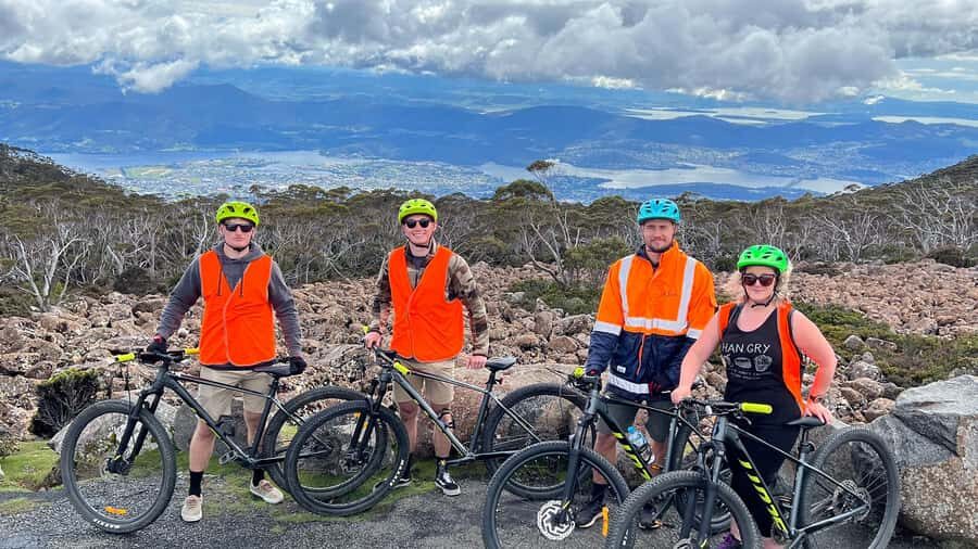 From Hobart: Mt Wellington Summit & Rainforest Bike Tour - The jump to the rainforest trail: where the scenery turns lush