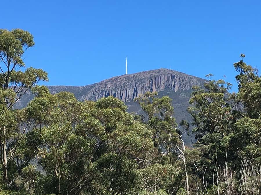 From Hobart: Mt Wellington Summit & Rainforest Bike Tour - The rainforest bike ride: ferns, streams, aqueducts, and a waterfall