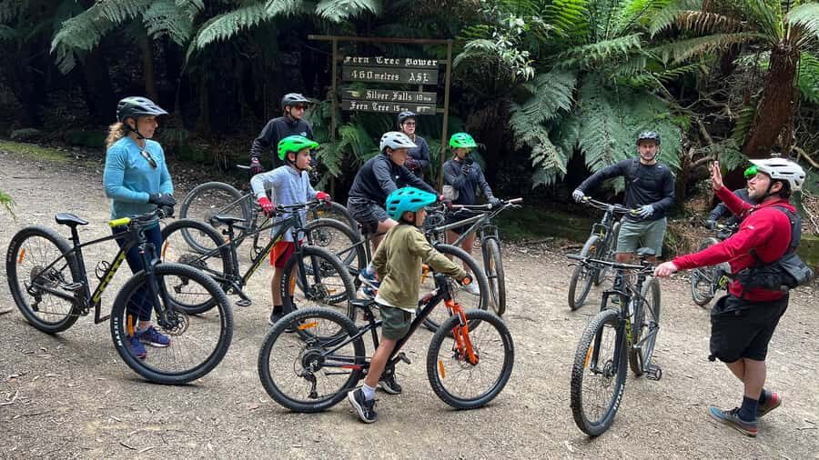 From Hobart: Mt Wellington Summit & Rainforest Bike Tour - Safety and guide style: why this tour feels relaxed