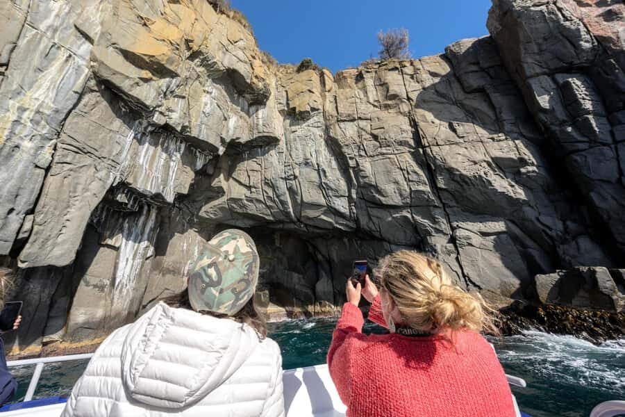From Hobart: Port Arthur Cape Raoul Wilderness Cruise - Cape Raoul’s dolerite columns: where the coastline feels massive