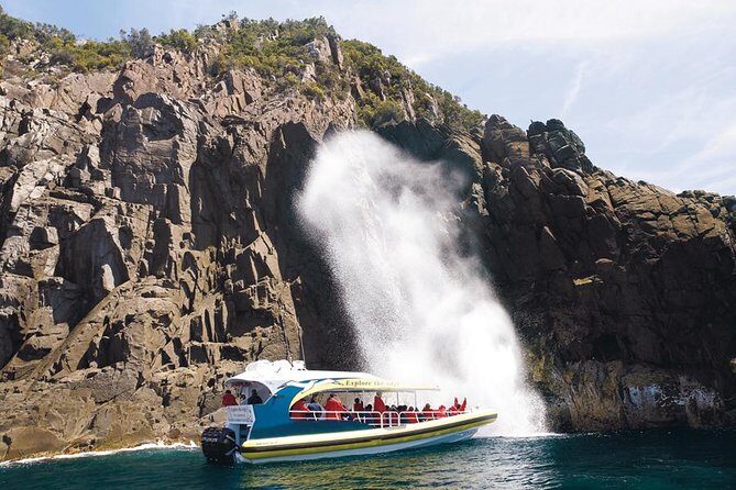 Full-Day Bruny Island Cruises Day Tour from Hobart - The 3-hour wilderness cruise: cliffs, caves, and the Friars seal colony
