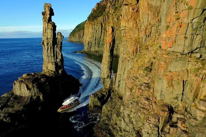 Full-Day Bruny Island Cruises Day Tour from Hobart - The ferry and Adventure Bay: your morning setup for wildlife viewing