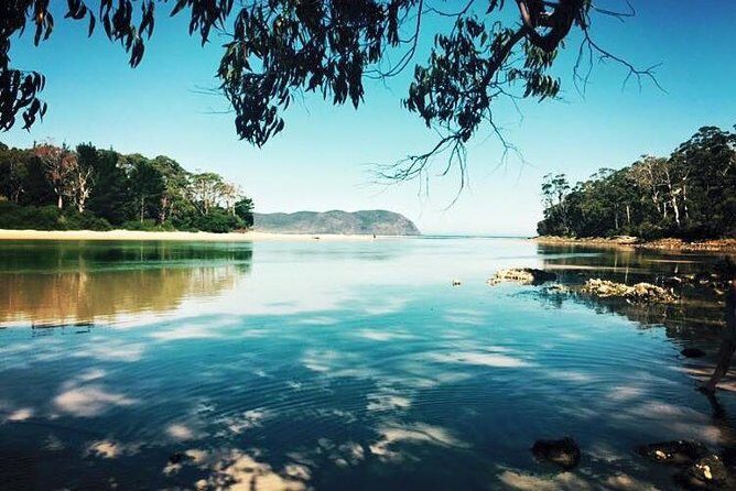 Full-Day Guided Bruny Island Tour from Hobart - A full-day Bruny Island reset from Hobart