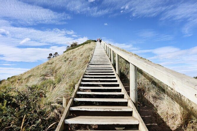 Full-Day Guided Bruny Island Tour from Hobart - Mavista Picnic Area and the rainforest walking track
