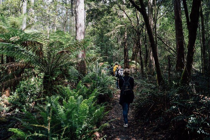 Full-Day Guided Bruny Island Tour from Hobart - The food stops that turn sightseeing into a real day