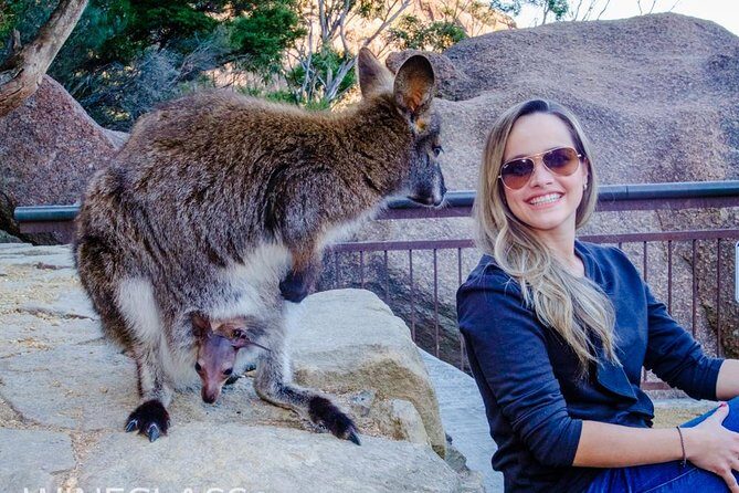 Full-Day Tour to Wineglass Bay from Hobart - Price and what you actually get for $121.93