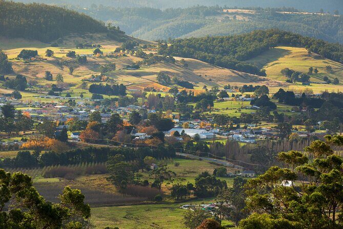 Hastings Caves, Tahune Airwalk and the Huon Tasting Trail - Guides make the day: Grey, Nathan, Jodi, and the small details