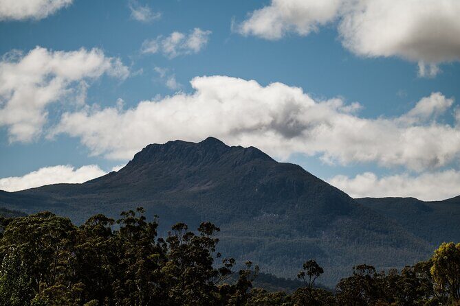 Hastings Caves, Tahune Airwalk and the Huon Tasting Trail - What to expect for walking and comfort