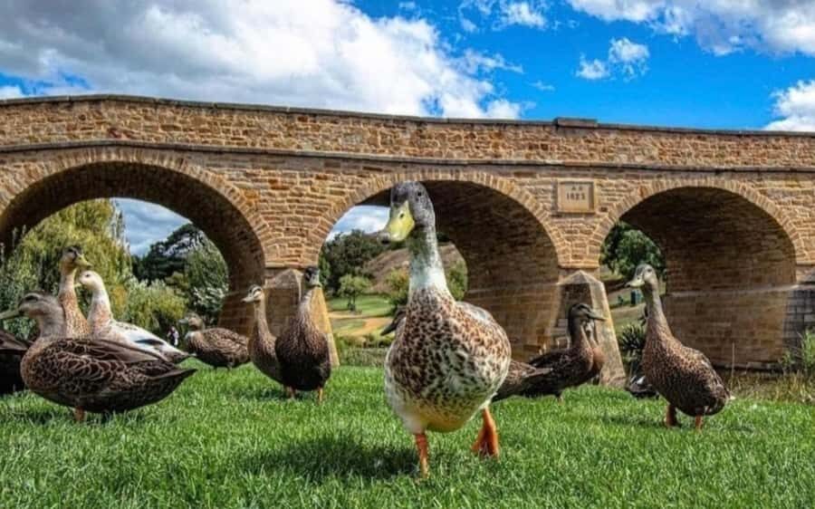 Historic Richmond Village Half-Day Coach Tour - Should you book Historic Richmond Village Half-Day Coach Tour?