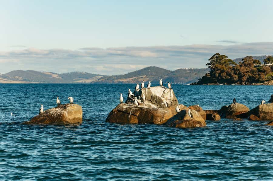 Hobart: 2.5-hour Iron Pot Lighthouse Cruise - A 2.5-hour cruise that makes Hobart feel bigger