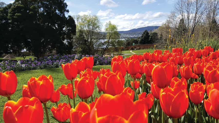 Hobart: 3-Hour City Sightseeing Tour - Battery Point: old streets, small moments, and quick photo time