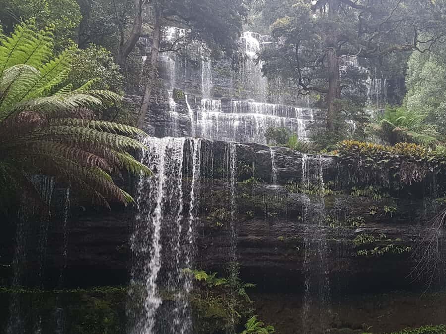 Hobart: 4 Day Wild Tasmania Tour - Cradle Mountain National Park: UNESCO walking with real wildlife odds
