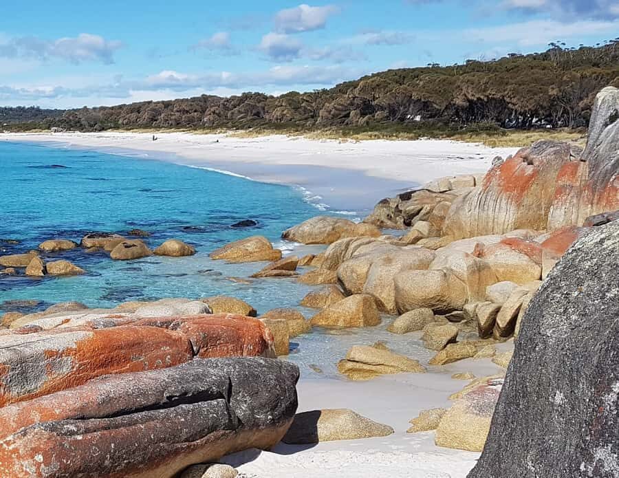 Hobart: 4 Day Wild Tasmania Tour - Wineglass Bay and Freycinet National Park: the view part that earns its hype