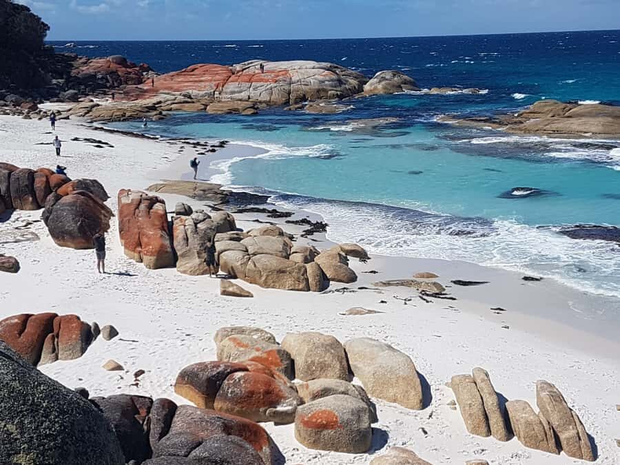 Hobart: 4 Day Wild Tasmania Tour - Wilderness accommodation that feels like you’re staying in the habitat