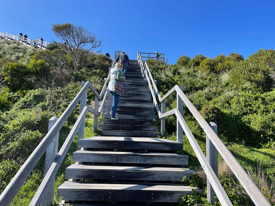 Hobart: Bruny Island Adventure: Hike, Highlights & Tastes - Key Things That Make This Bruny Day Trip Worth Your Time