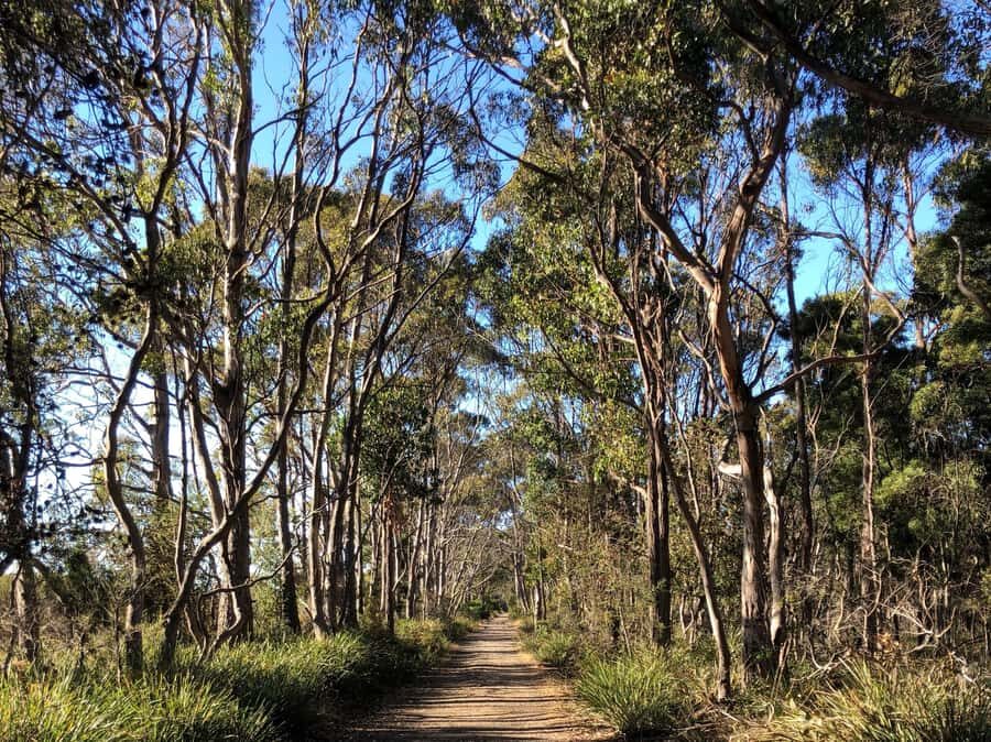 Hobart: Bruny Island Adventure: Hike, Highlights & Tastes - What the Group Size and Guides Add to the Day