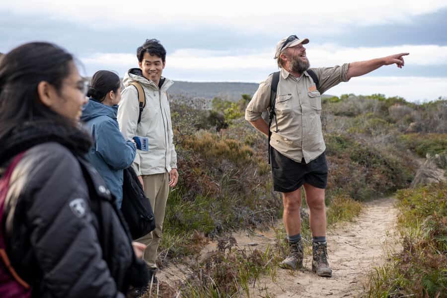 Hobart: Bruny Island Adventure: Hike, Highlights & Tastes - The Bruny Arch Hike: Sand, Heath, Lagoons, and Big Views