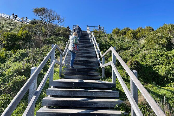 Hobart: Bruny Island Adventure: Hiking, Highlights & Local tastes - Hobart to Bruny Island: why the day starts early and stays guided