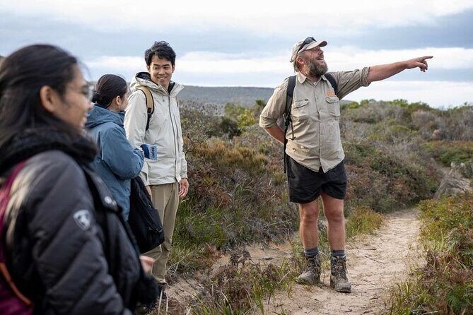 Hobart: Bruny Island Adventure: Hiking, Highlights & Local tastes - The Neck and Trugannini Lookout: where the stairs take over (279 of them)
