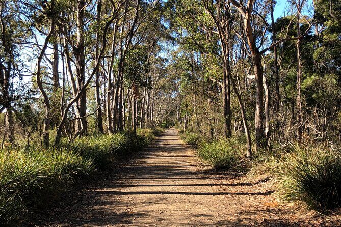 Hobart: Bruny Island Adventure: Hiking, Highlights & Local tastes - Price and logistics: is $118.35 a fair deal for this Bruny Island day?