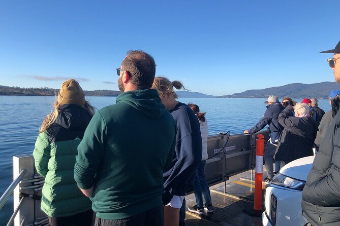 Hobart: Bruny Island Adventure: Hiking, Highlights & Local tastes - What to pack for a no-luggage day trip (bring a day pack, not a suitcase)