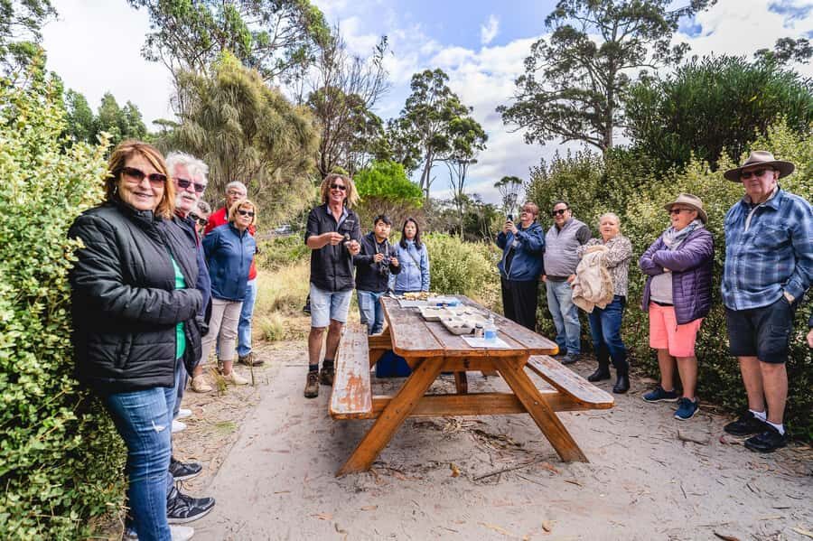 Hobart: Bruny Island Food, Sightseeing & Lighthouse Day Tour - Lunch at Hotel Bruny: One Course, Done Right