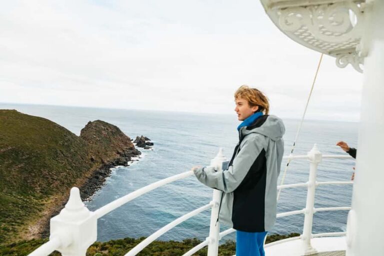 Hobart: Bruny Island Food, Sightseeing & Lighthouse Day Tour - Cape Bruny Lighthouse: The Main Event, With Real Climb