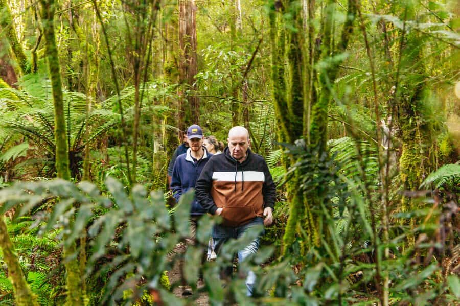 Hobart: Bruny Island Gourmet Sightseeing Day Tour - Key highlights worth planning around