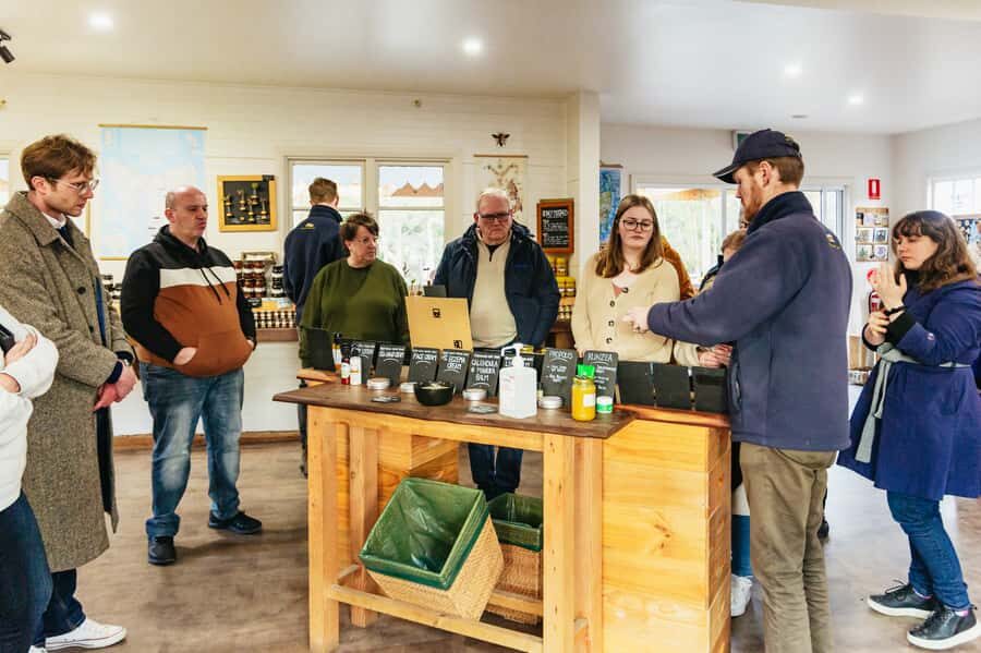 Hobart: Bruny Island Gourmet Sightseeing Day Tour - Ferry crossing and return to Hobart: why it keeps the tour stress-free