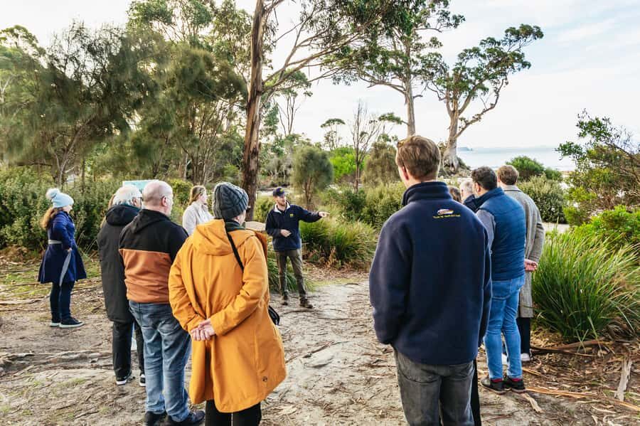 Hobart: Bruny Island Gourmet Sightseeing Day Tour - From Hobart to Kettering and back: how the day flows