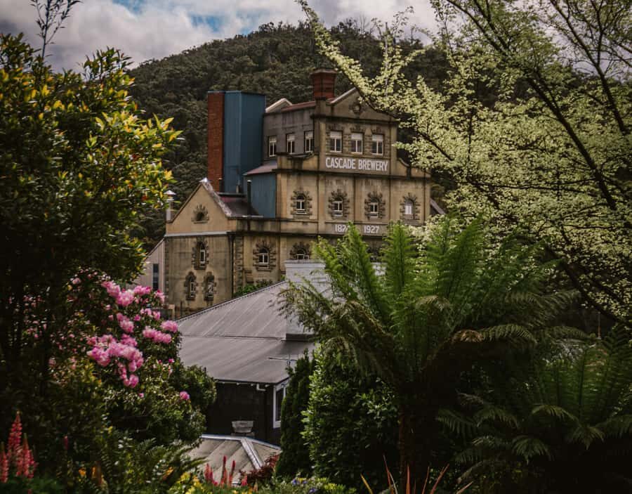 Hobart: Cascade Brewery Historic Tour - Finding The Mill Entrance and Check-In Upstairs