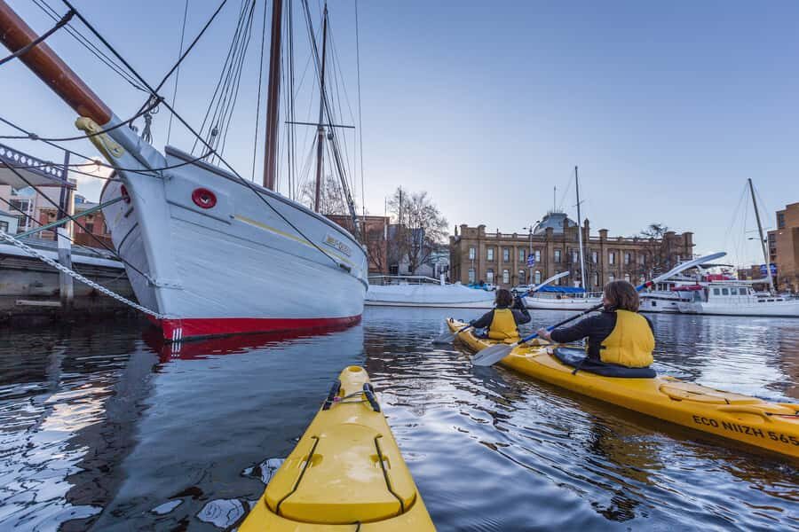 Hobart City 2.5-Hour Kayak Tour - Why Paddle Hobart’s Waterfront Instead of Watching From Shore
