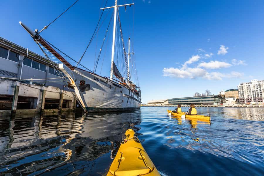 Hobart City 2.5-Hour Kayak Tour - Price and Value at $84: What You’re Really Paying For