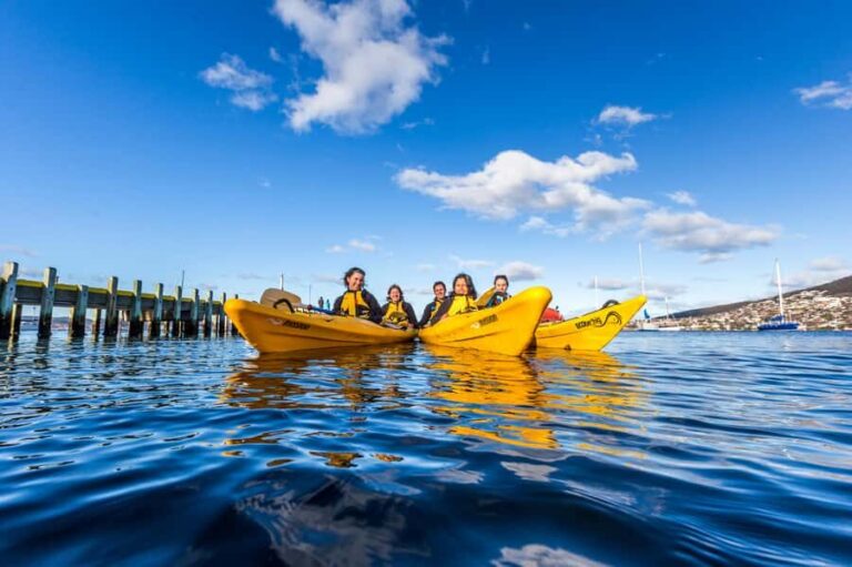 Hobart City 2.5-Hour Kayak Tour - Getting On the Water at Sandy Bay: What Launch Feels Like