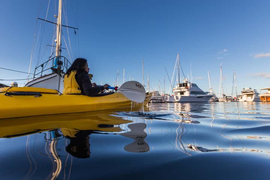 Hobart City 2.5-Hour Kayak Tour - Who This Hobart Kayak Tour Suits Best (And Who Might Skip It)