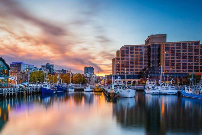 Hobart City Private Charter Service (3 days in advance） - Mt Wellington: the one-hour view that makes the whole day click