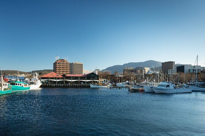 Hobart City Sightseeing Tour including MONA Admission - Key things that make this tour worth your attention